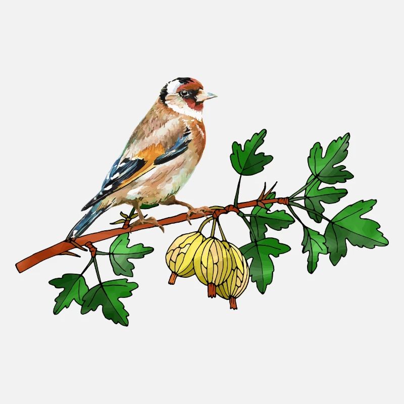Oiseau