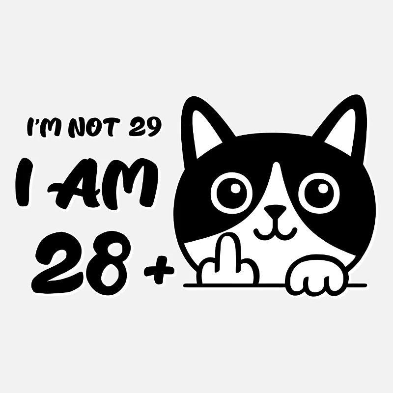 Ich bin nicht 29, ich bin 28 plus 1 Mittelfinger Katzenflip