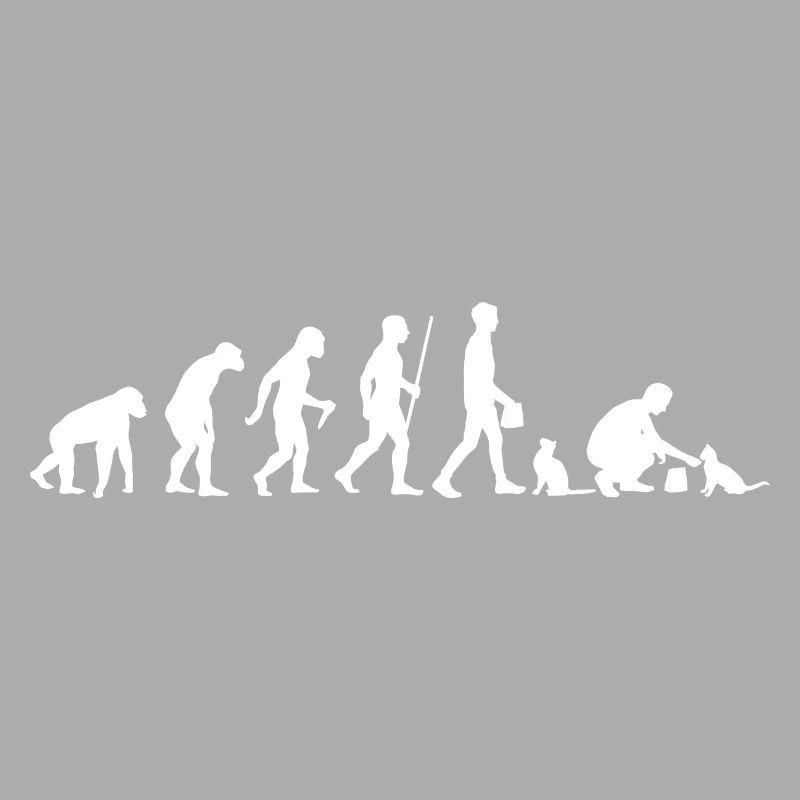 Evolution Pet Cat