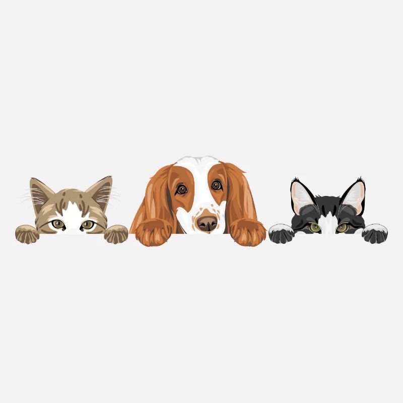 Cocker Spaniel chien et deux chats mignons