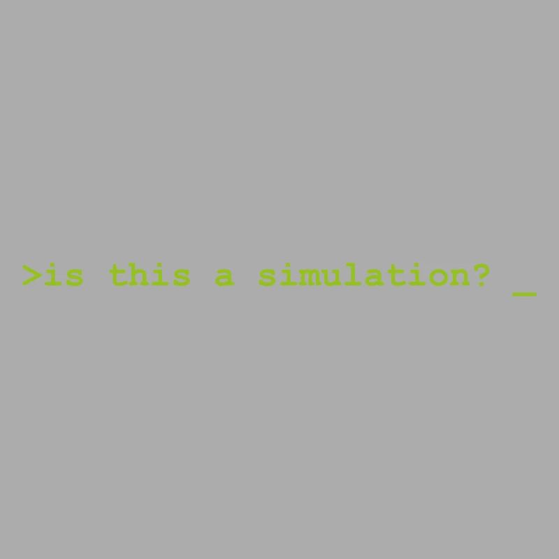 Is this a simulation Programming Informatik