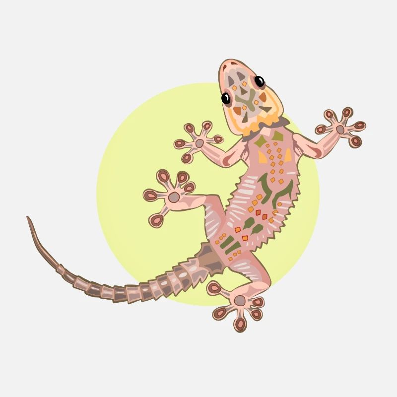 Gecko