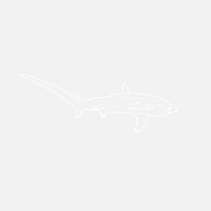 Requin-renard