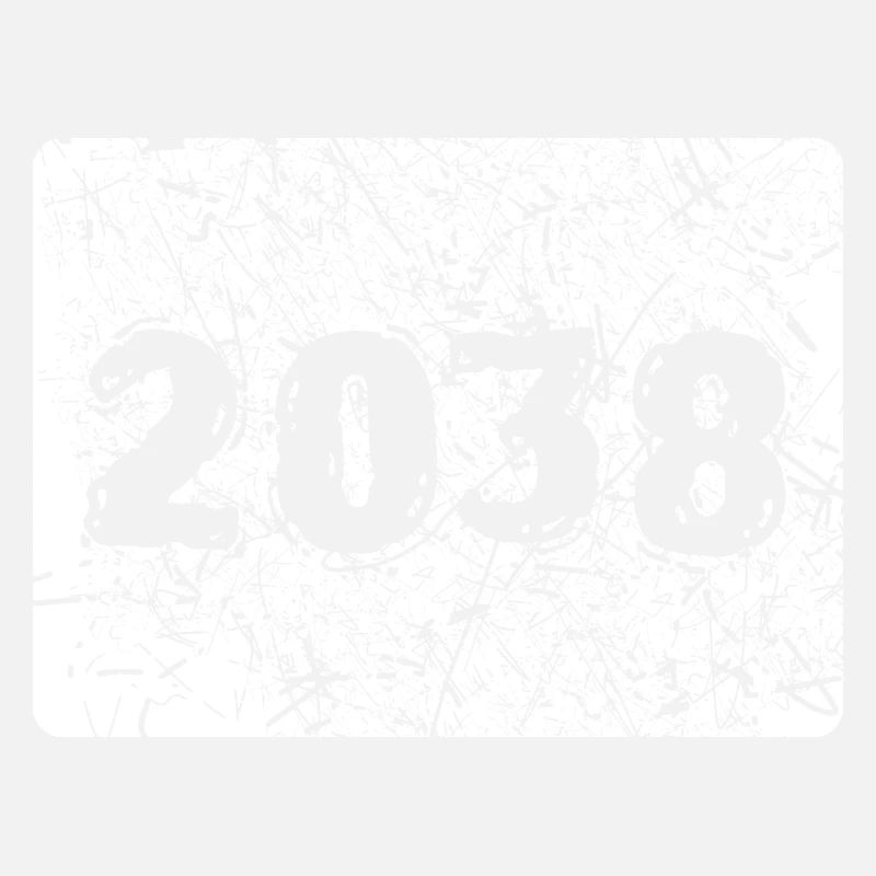 2038