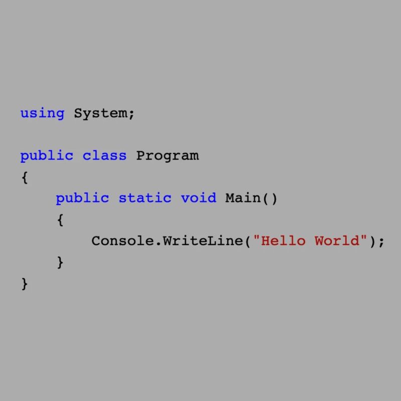 C # .NET Code Hello World Programmer Gift