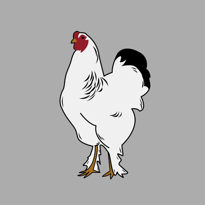 Brahma Rooster Poulet Drôle De Fermier Poulet