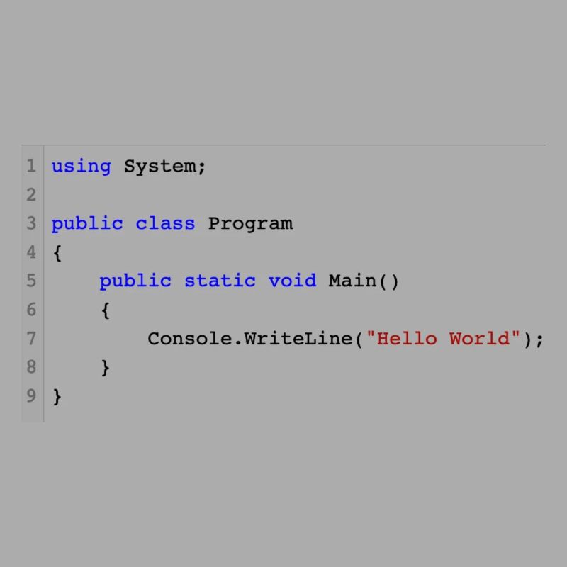 C# .NET Code Hello World Programmierer Geschenk