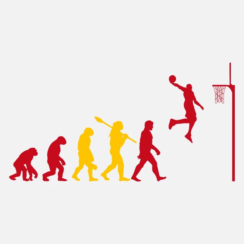 Évolution sportive du basketball espagnol pour BBall