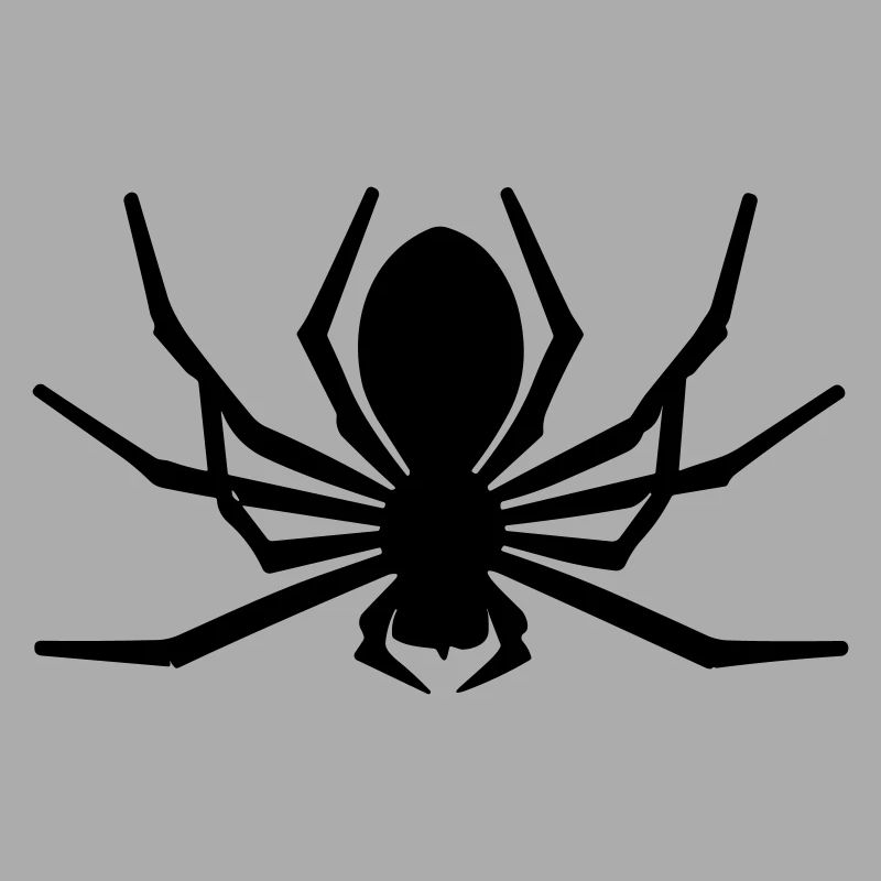 araignée