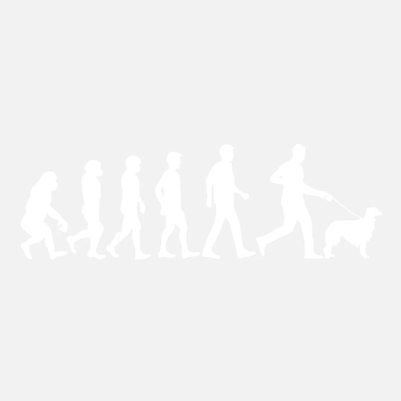 Silken Windhound Dog Evolution Dog Owner