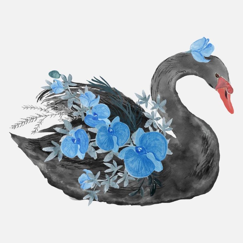 Cygne noir