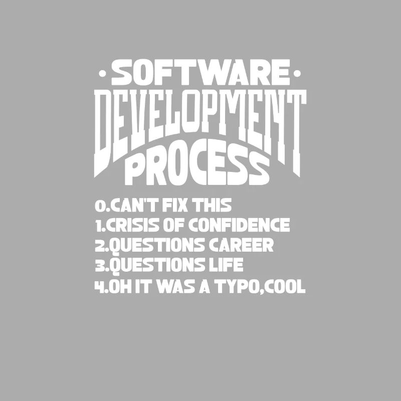 Software Developer Programmer Software