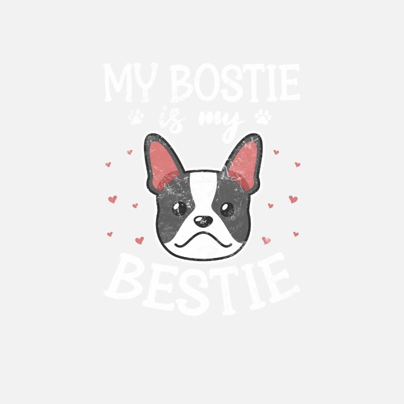 Boston Terrier