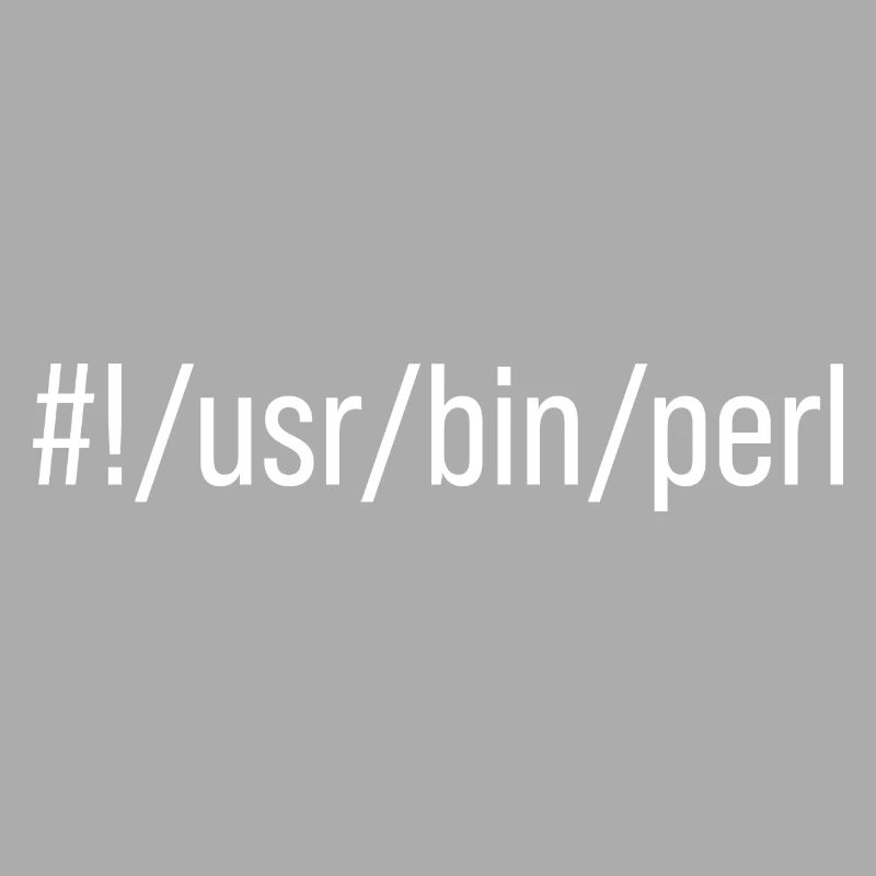 Usr Bin Perl Programmer Programming Languager Meme