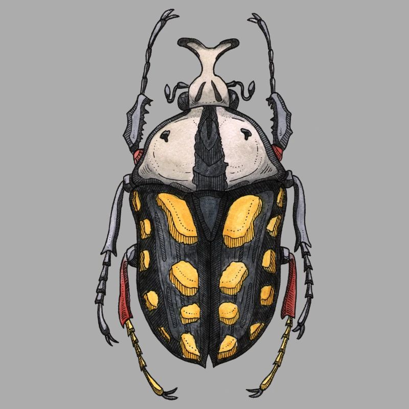 Big Beetle Stag - cerf géant