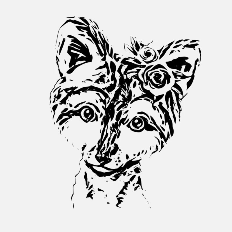 Renard