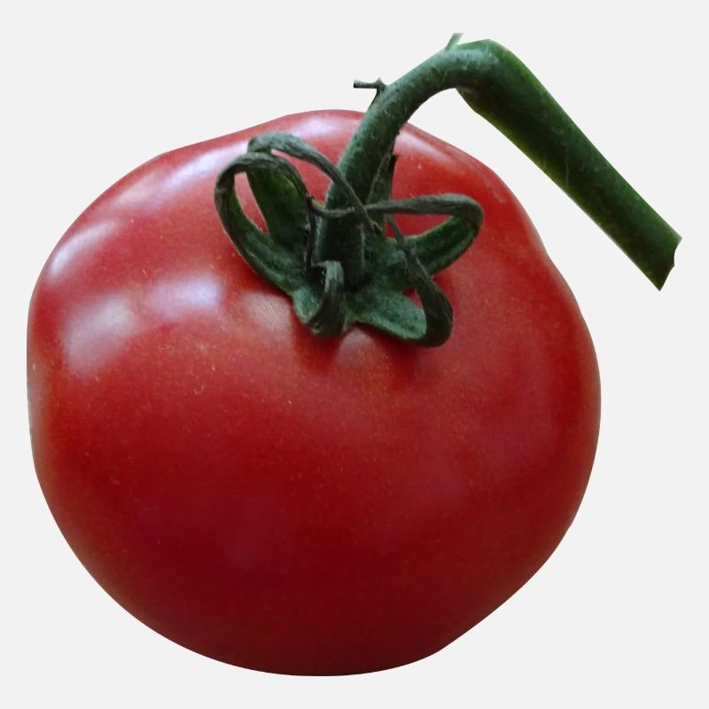 tomato tomate