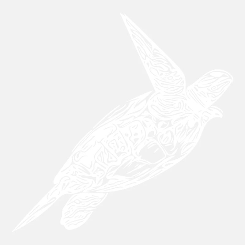 Vintage turtle on surface