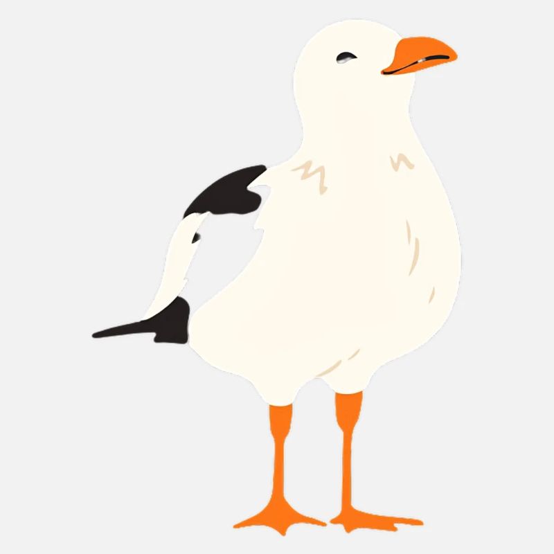 Möwe