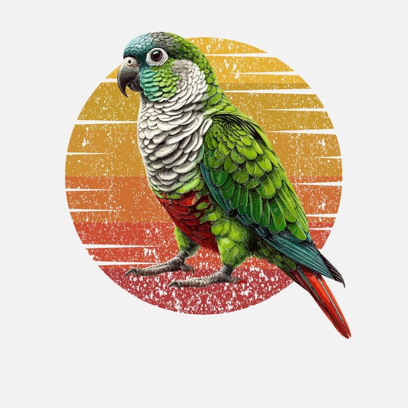 Green Cheeked Conure Funny Conure Parrot