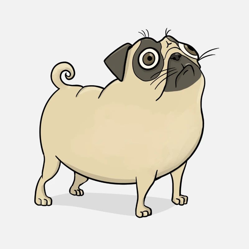 Pug funny embarrassed