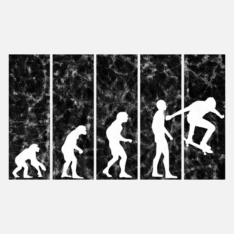 Skateboarder Skateboard Skater Skate Evolution