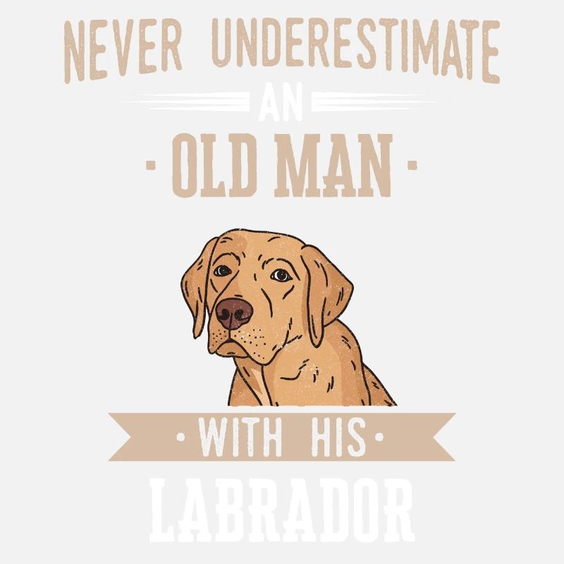 Chien Labrador