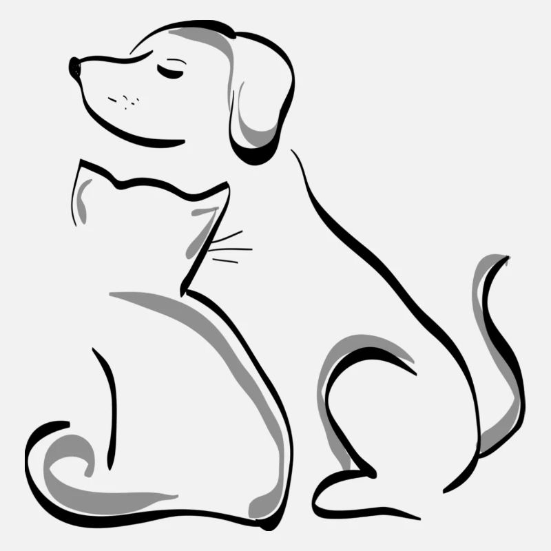 Chien et chat