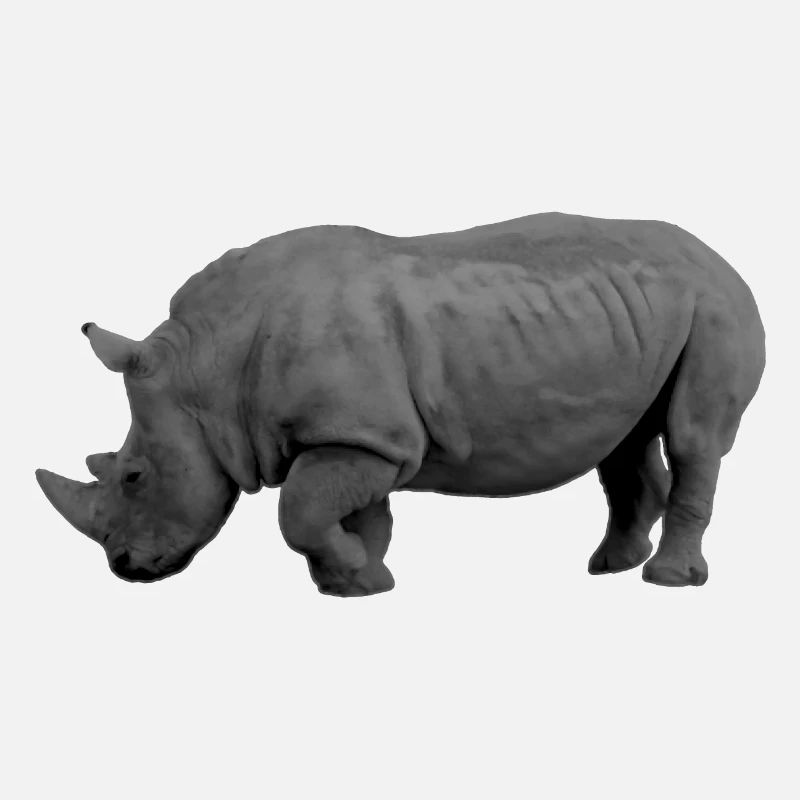 rhinocéros
