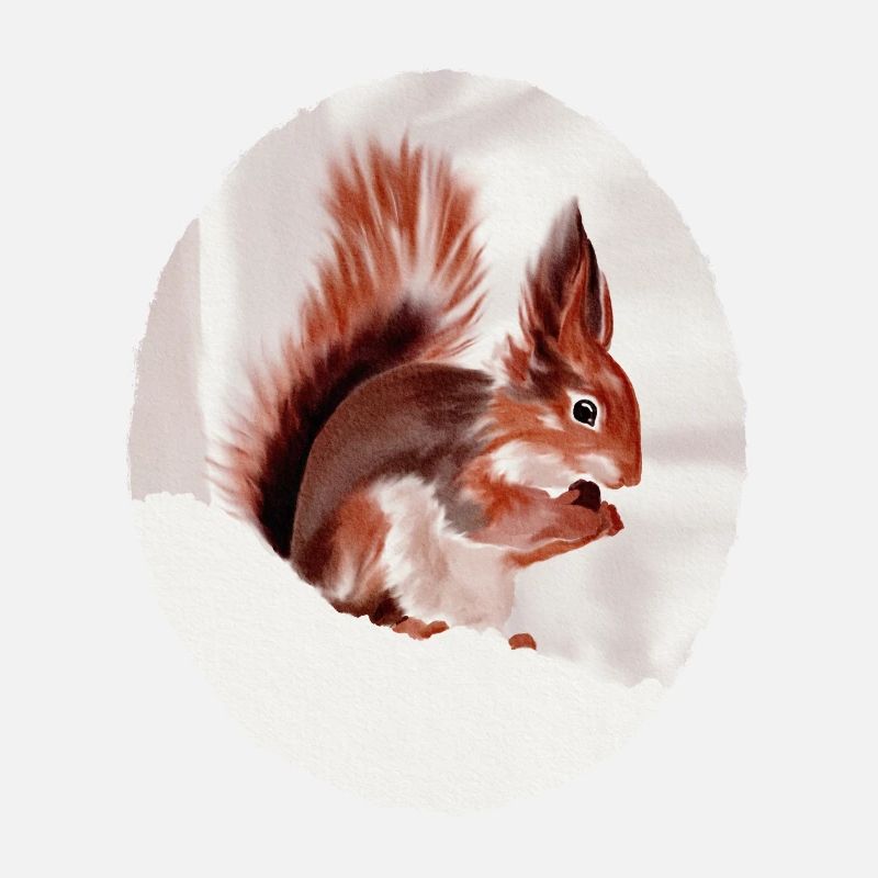 Écureuil