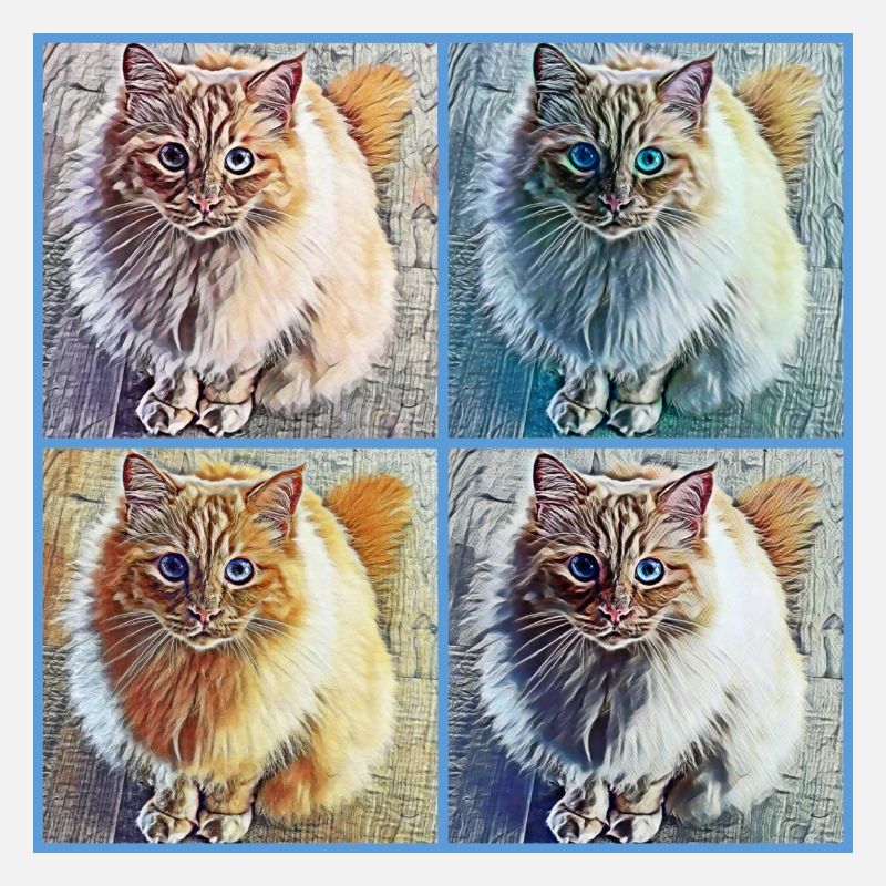 Pop Art Katzen Collage