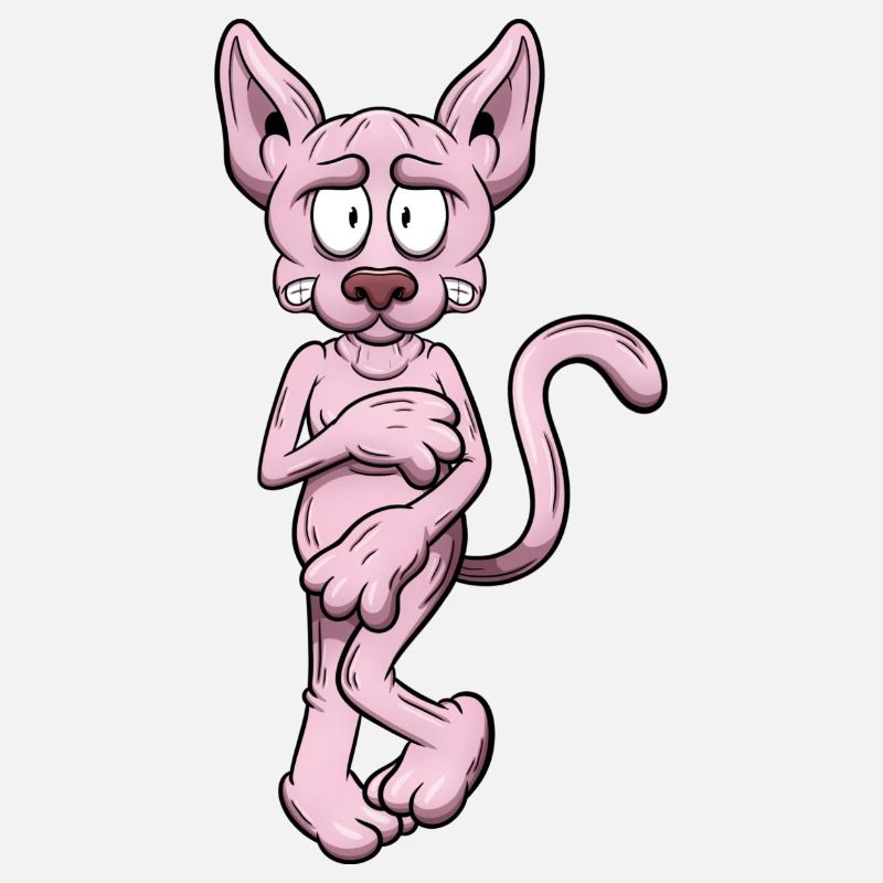 Chat Sphynx nu