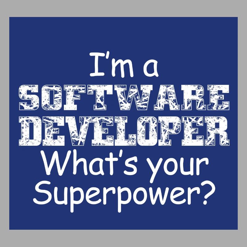 Software Entwickler