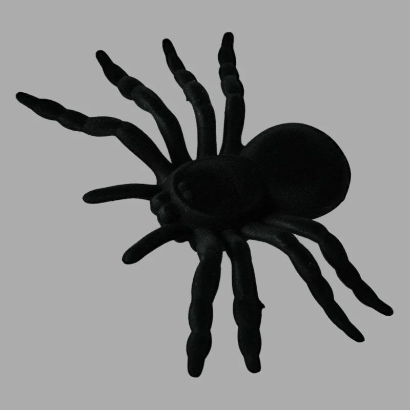 Spider Web, Spider Web, Spider Phobia, Disgusting Gift