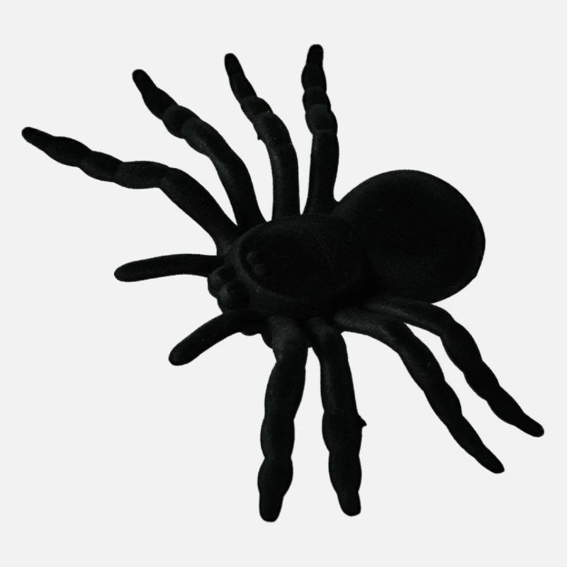 Spider Web, Spider Web, Spider Phobia, Disgusting Gift