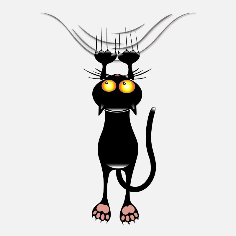 égratignure de chat