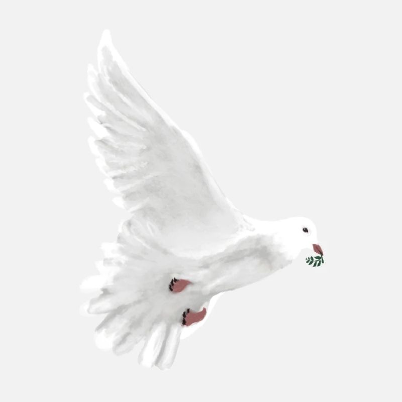 when the doves cry