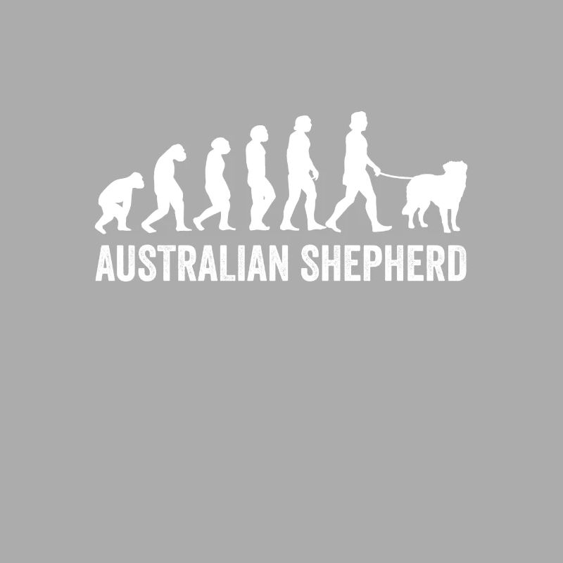 Australian Shepherd Evolution