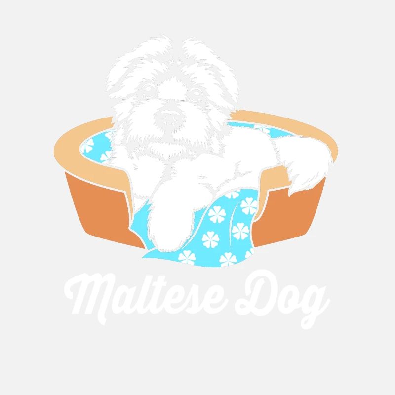 Maltese Dog