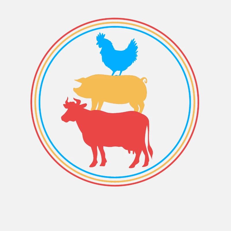 Poulet Volaille