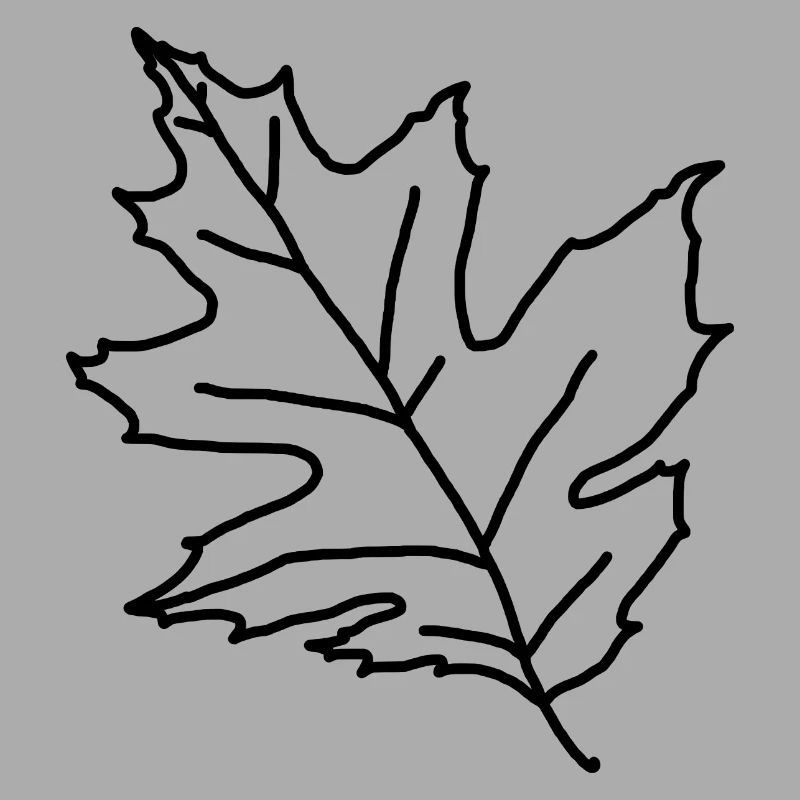 Maple Maple Leaf Maple Leaf Tree Forest Forest