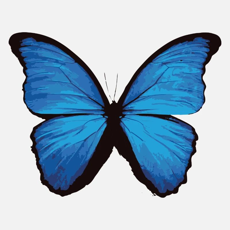 Papillon - bleu