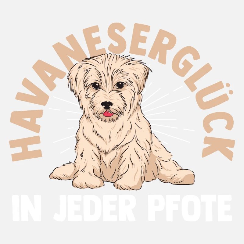 Dog Havanese