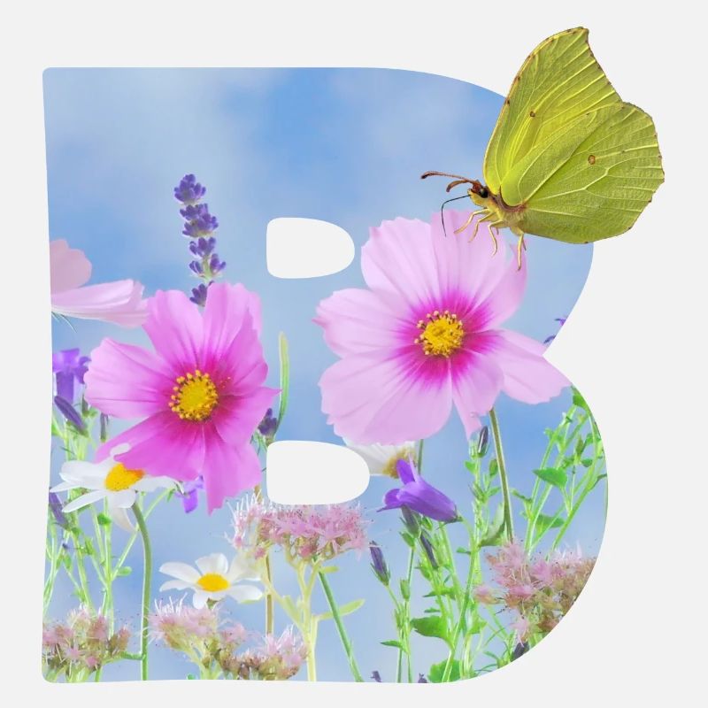 fleurs de printemps papillon b