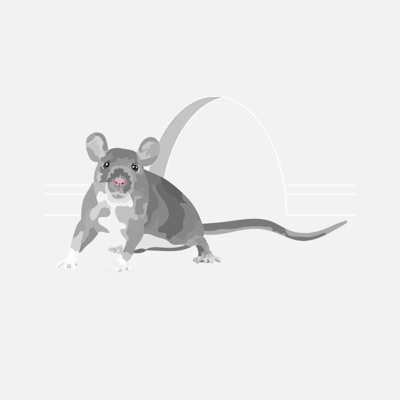 Rongeur de rat souris devant un trou dans le mur