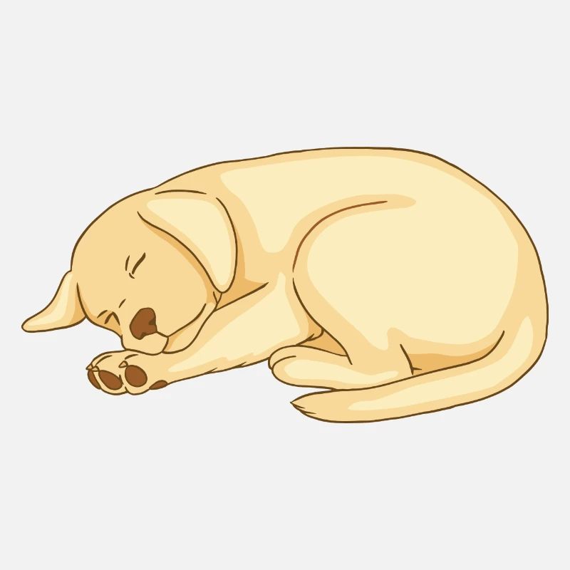Doux labrador endormi chiot