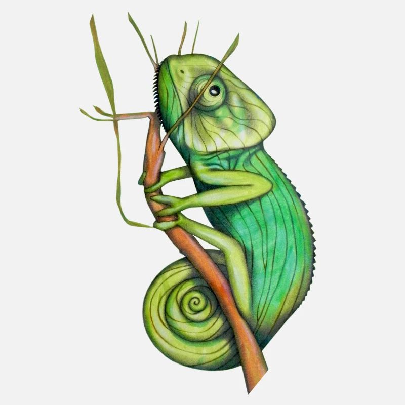 caméléon vert