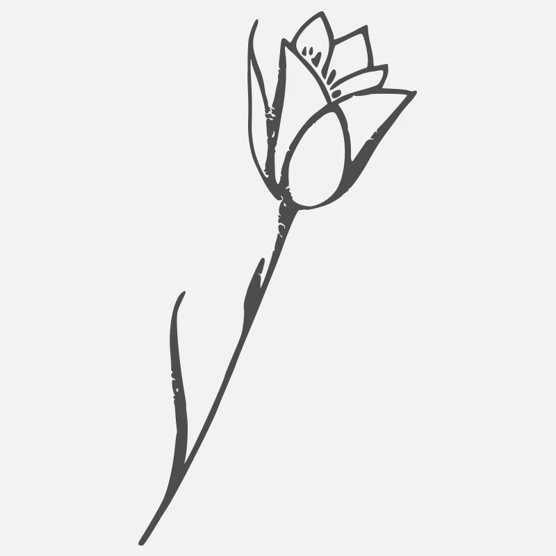 Tulipe dessin motif fleuri uni