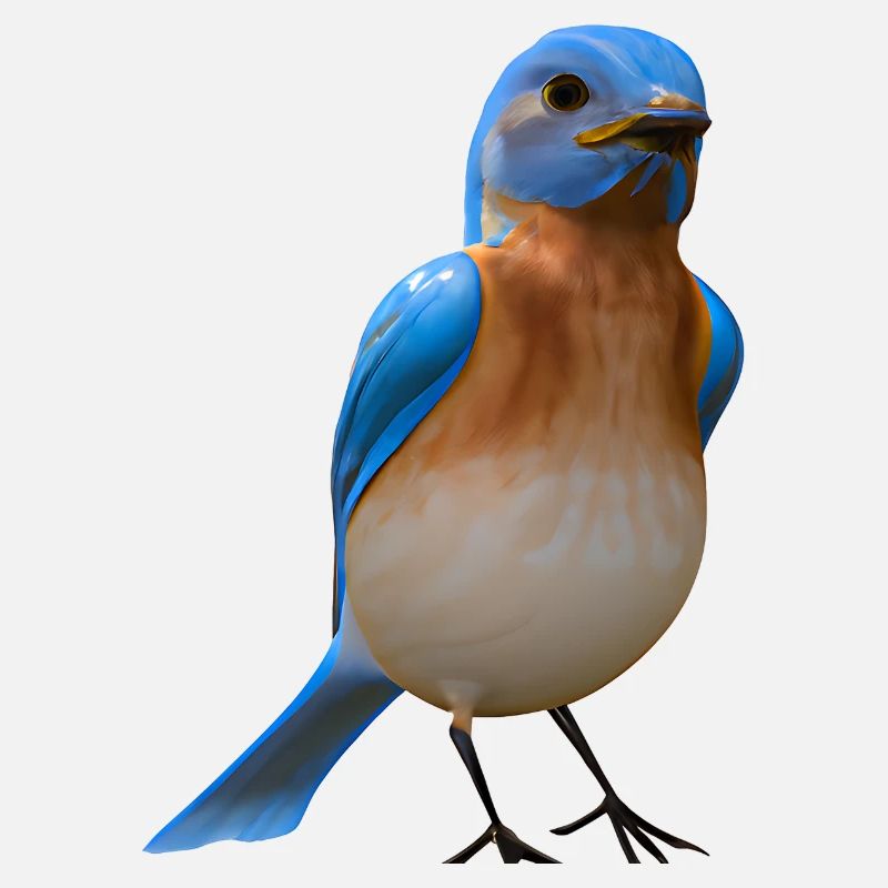 Hut Warbler Bird Design