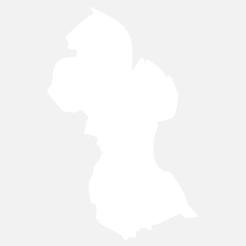 Drapeau de carte Guyane